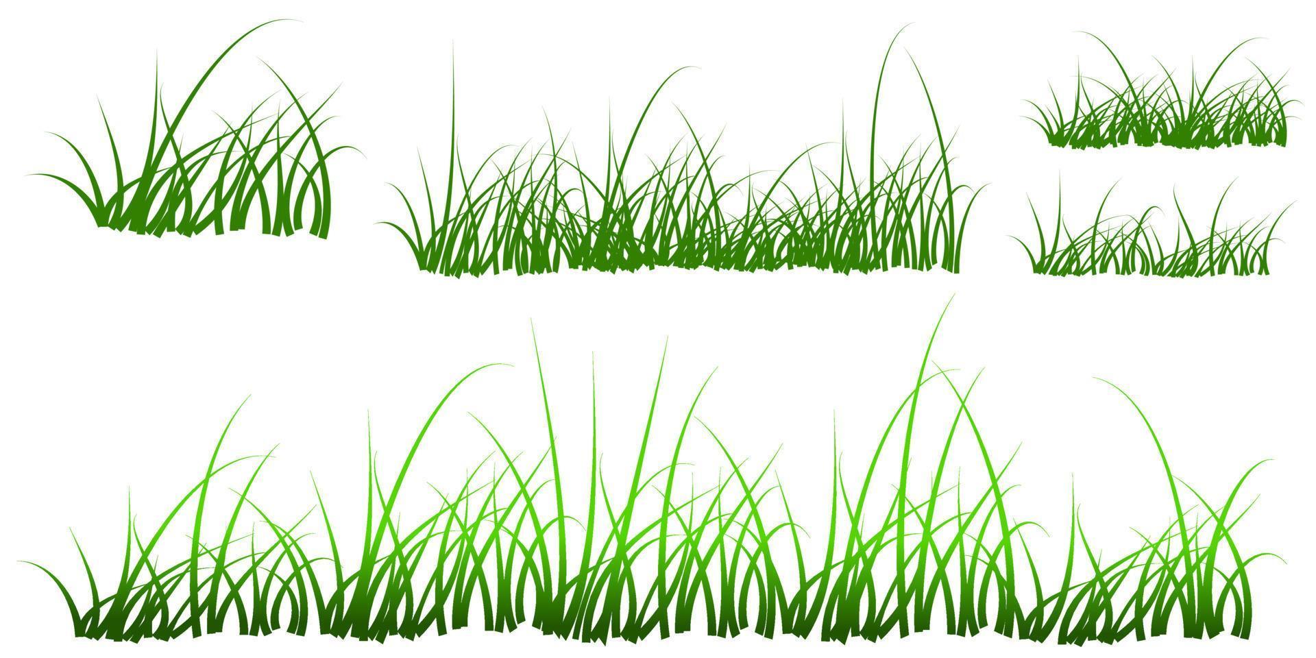 vector grass set background isolated