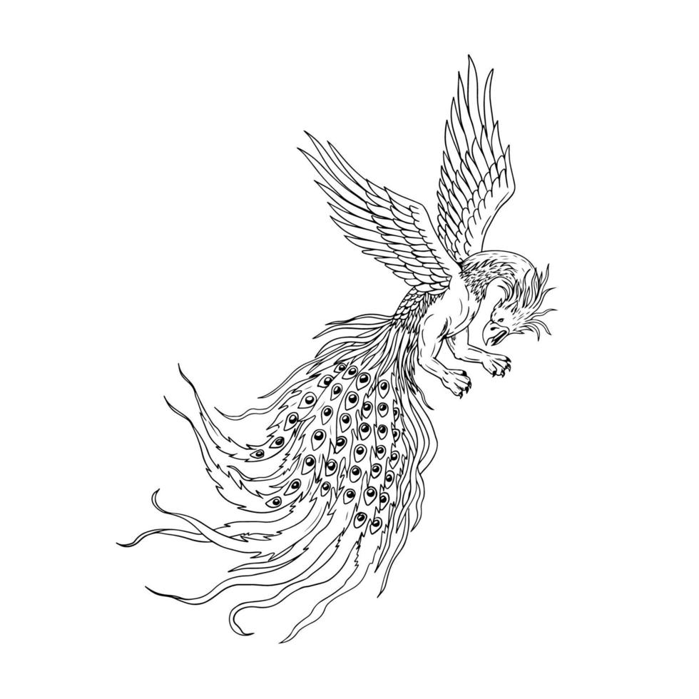 Simorgh or Simurgh Flying Drawing vector