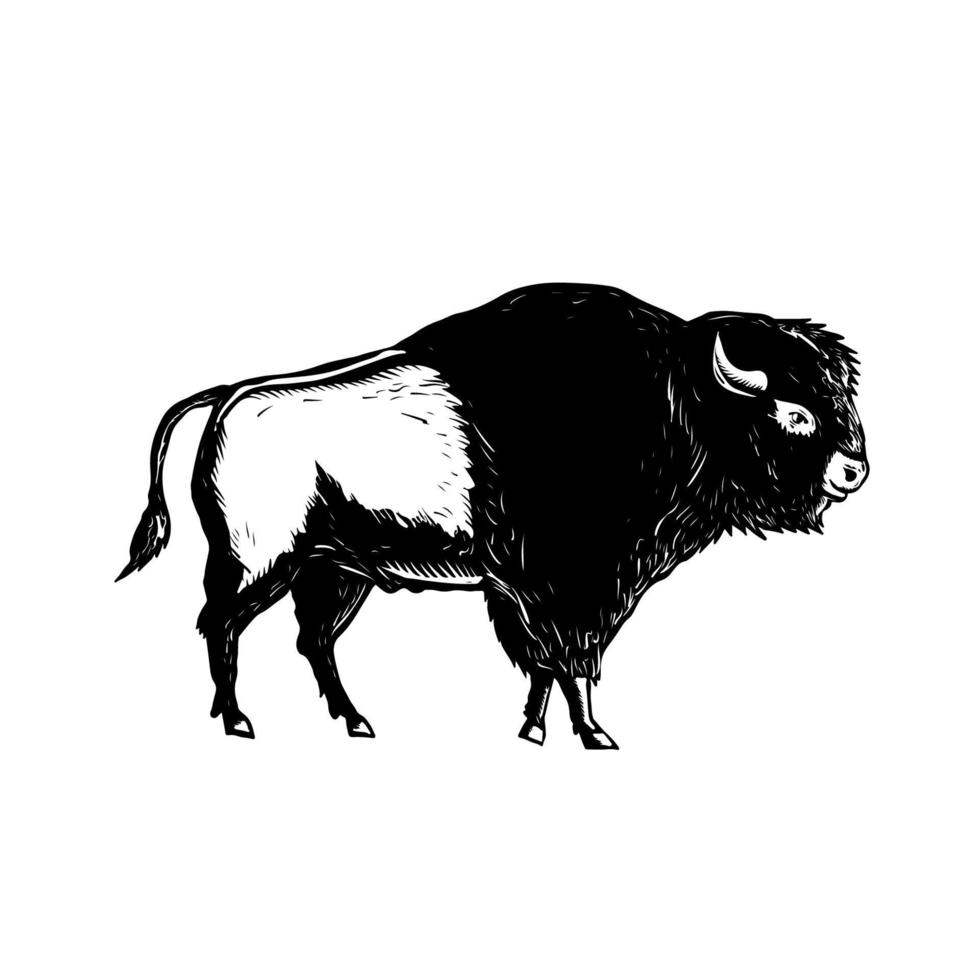 american buffalo or bison side woodcut vector