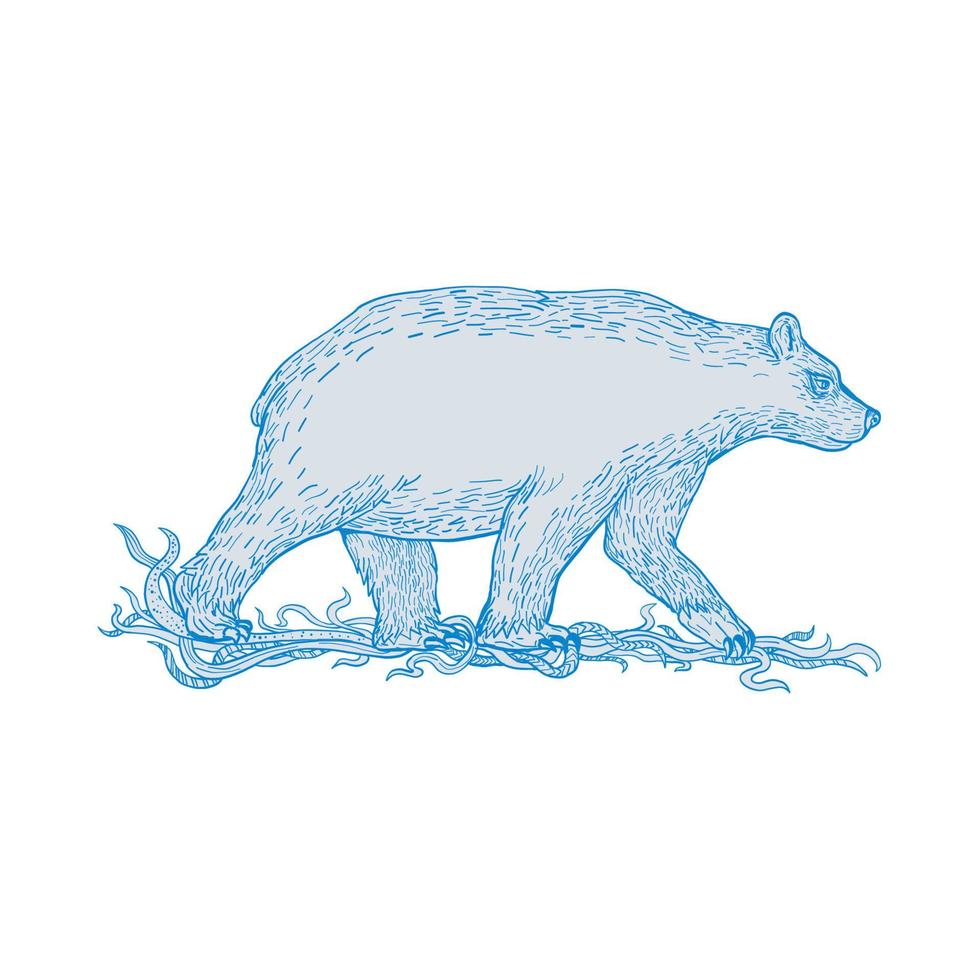 dibujo lateral del oso polar caminando vector