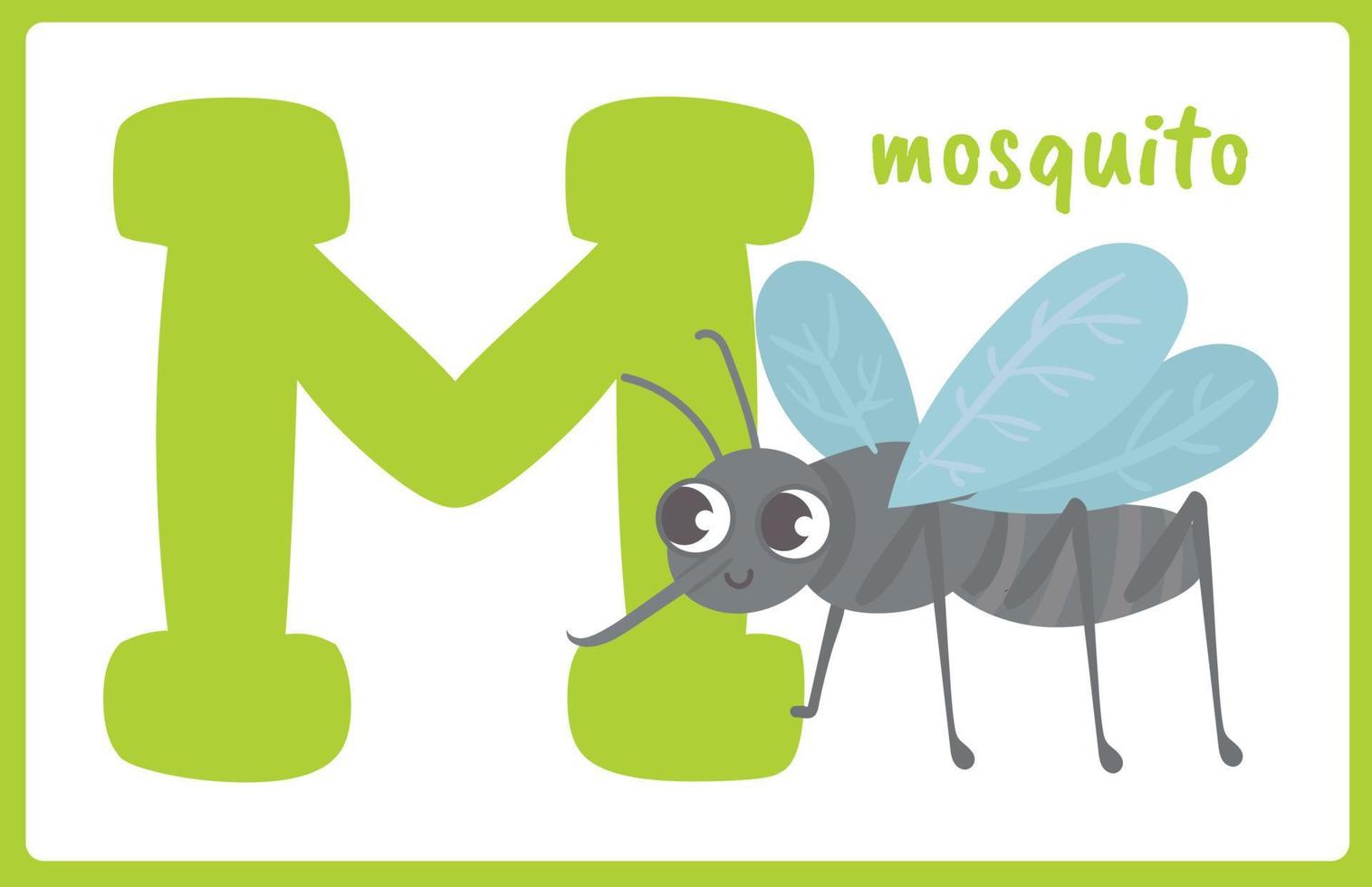 Flash Card Alphabet Insect M vector