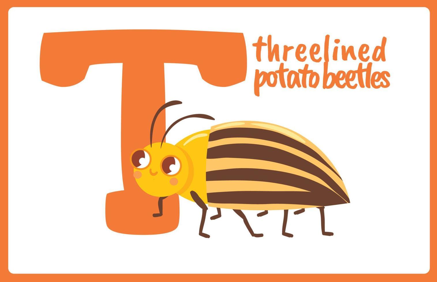 Flash Card Alphabet Insect T vector