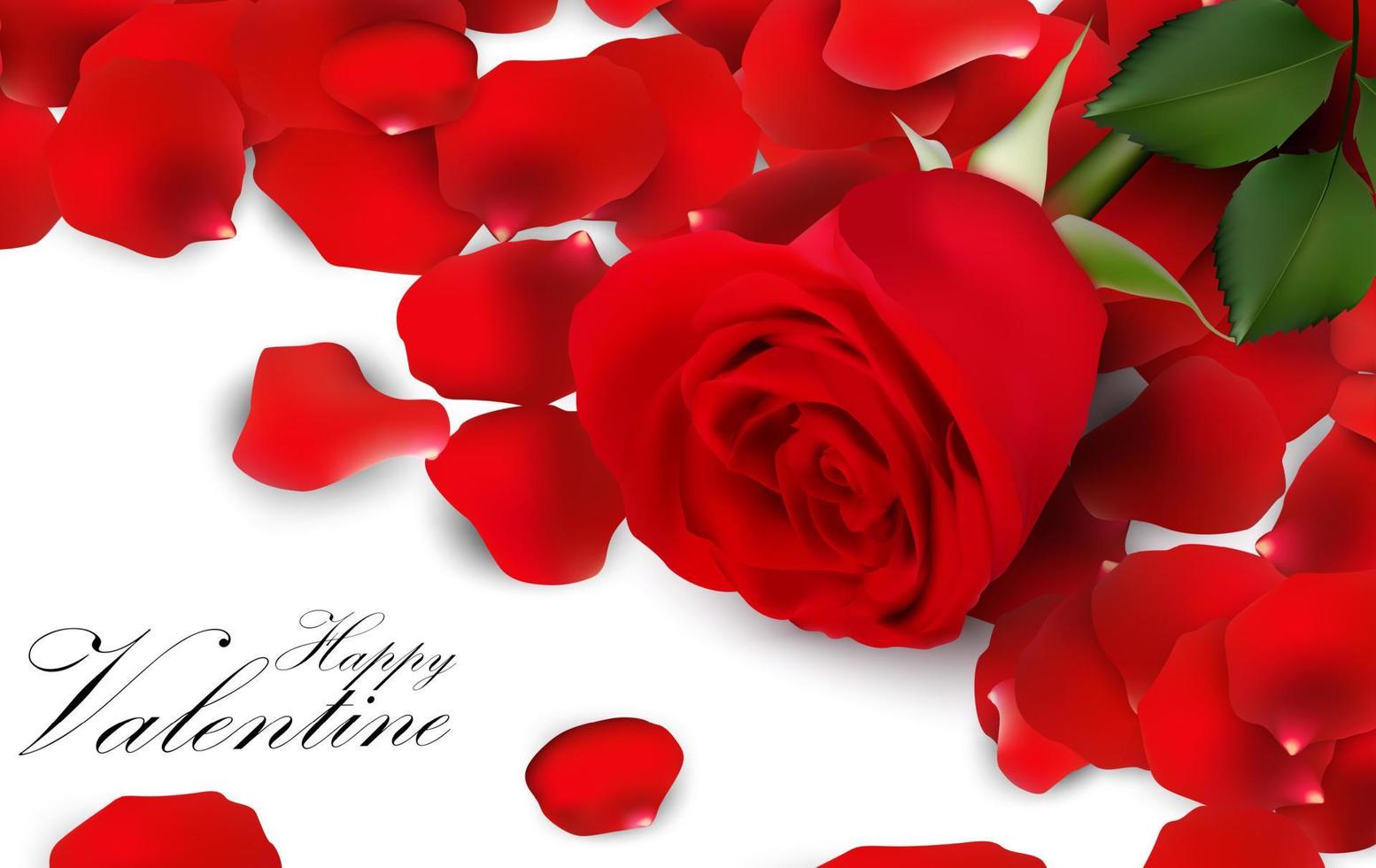 Red roses and rose petals on white background vector