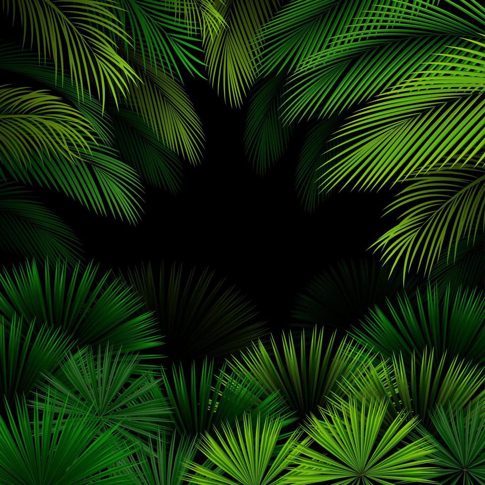 patrón exótico con hojas tropicales sobre fondo oscuro.vector vector