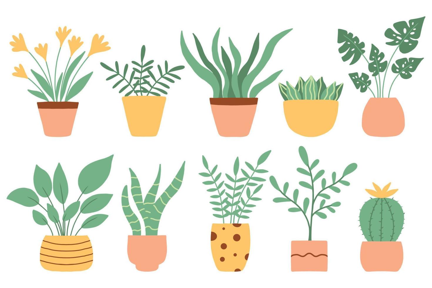 A set of trendy potted plants for the home. Various houseplants isolated on white background. Vector illustration in flat style.