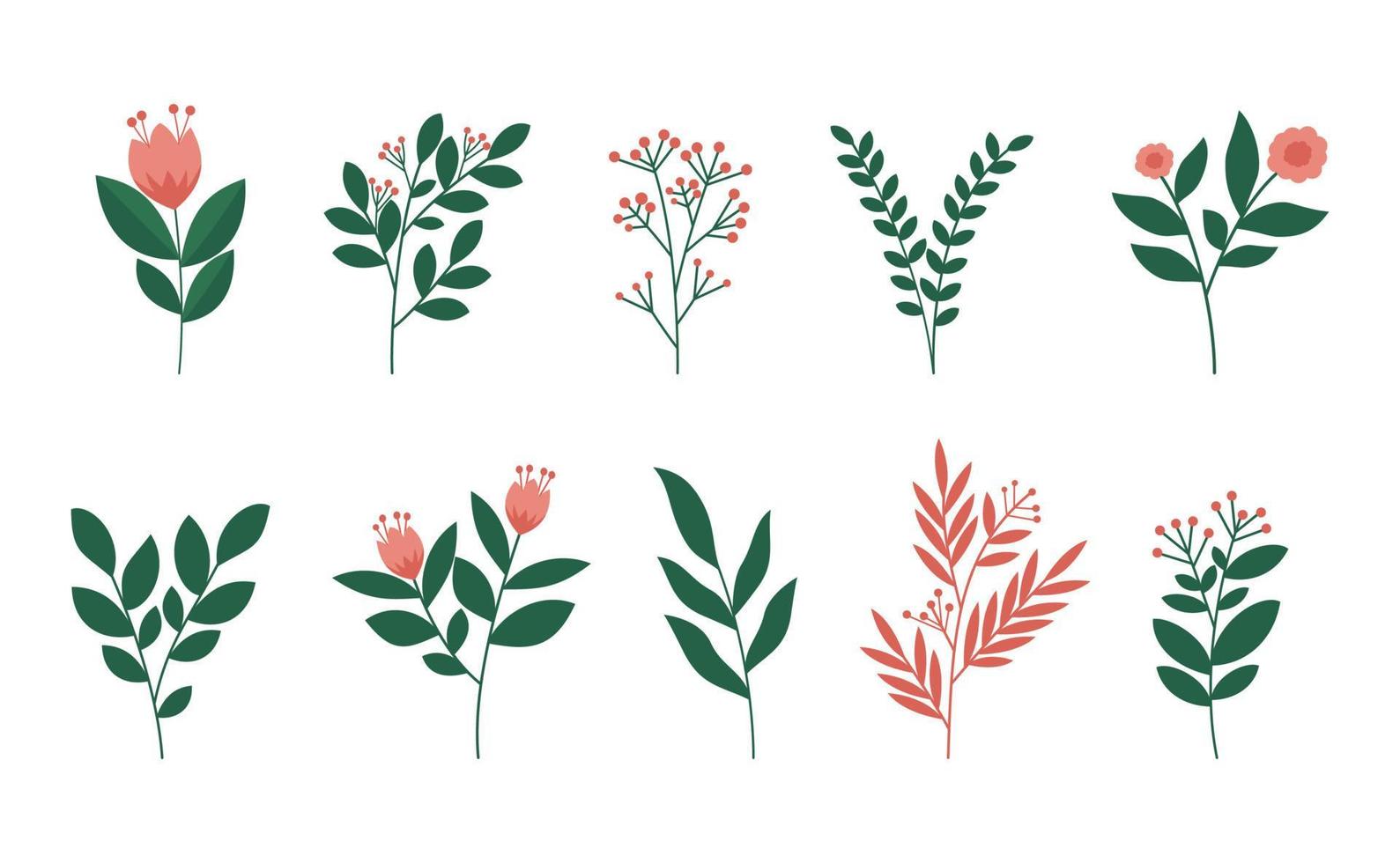 Doodle hand drawn leaf collection for background, wedding invitation ornament, social media post background, thank you card, background element. vector
