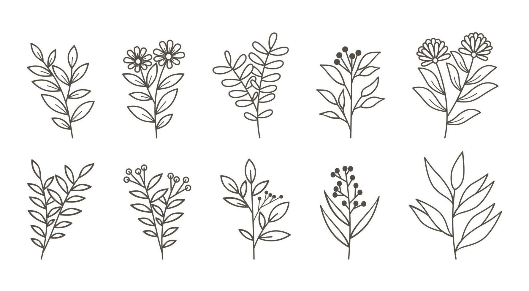 Doodle hand drawn leaf collection for background, wedding invitation ornament, social media post background, thank you card, background element. vector
