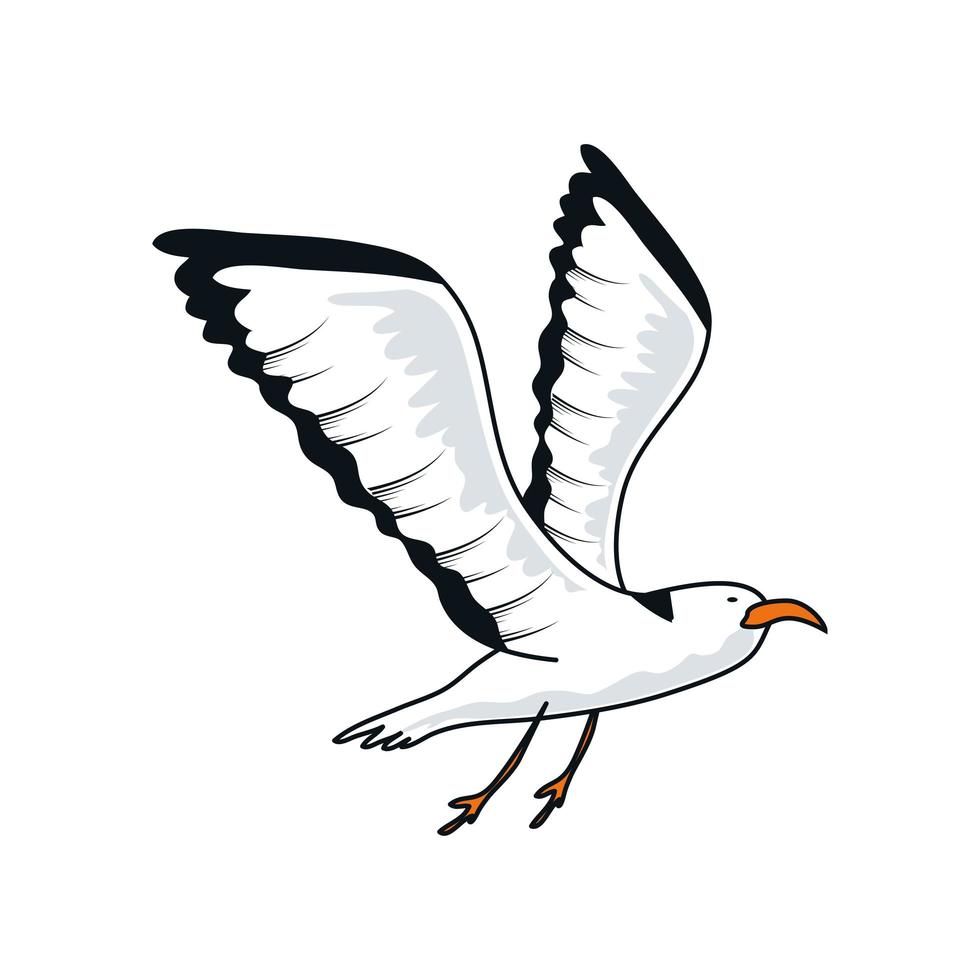 flying seagull bird vector