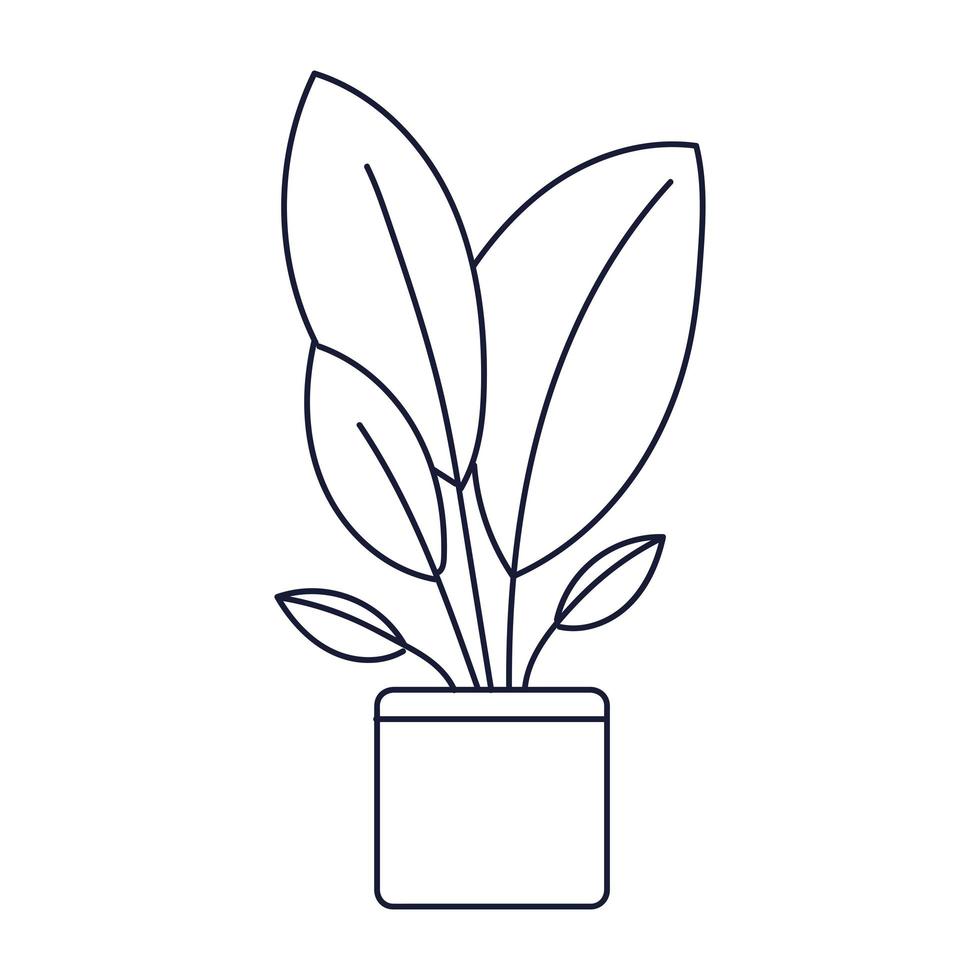 linear plant in pot vector