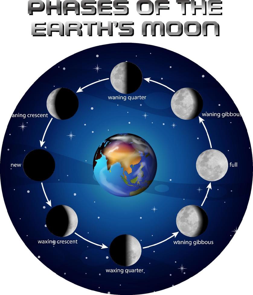 fases de la luna para la educación científica vector