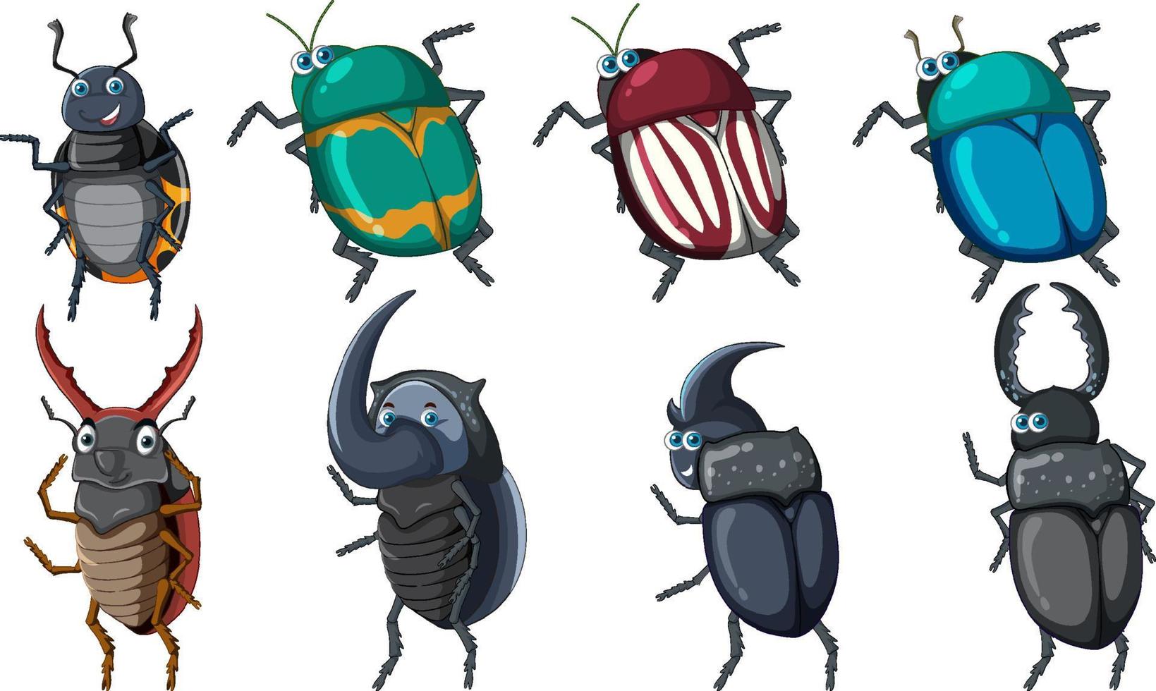 conjunto de diferentes insectos y escarabajos en estilo de dibujos animados vector