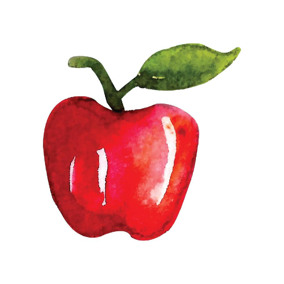 red apple isolated on white background. Watercolor illustration vector