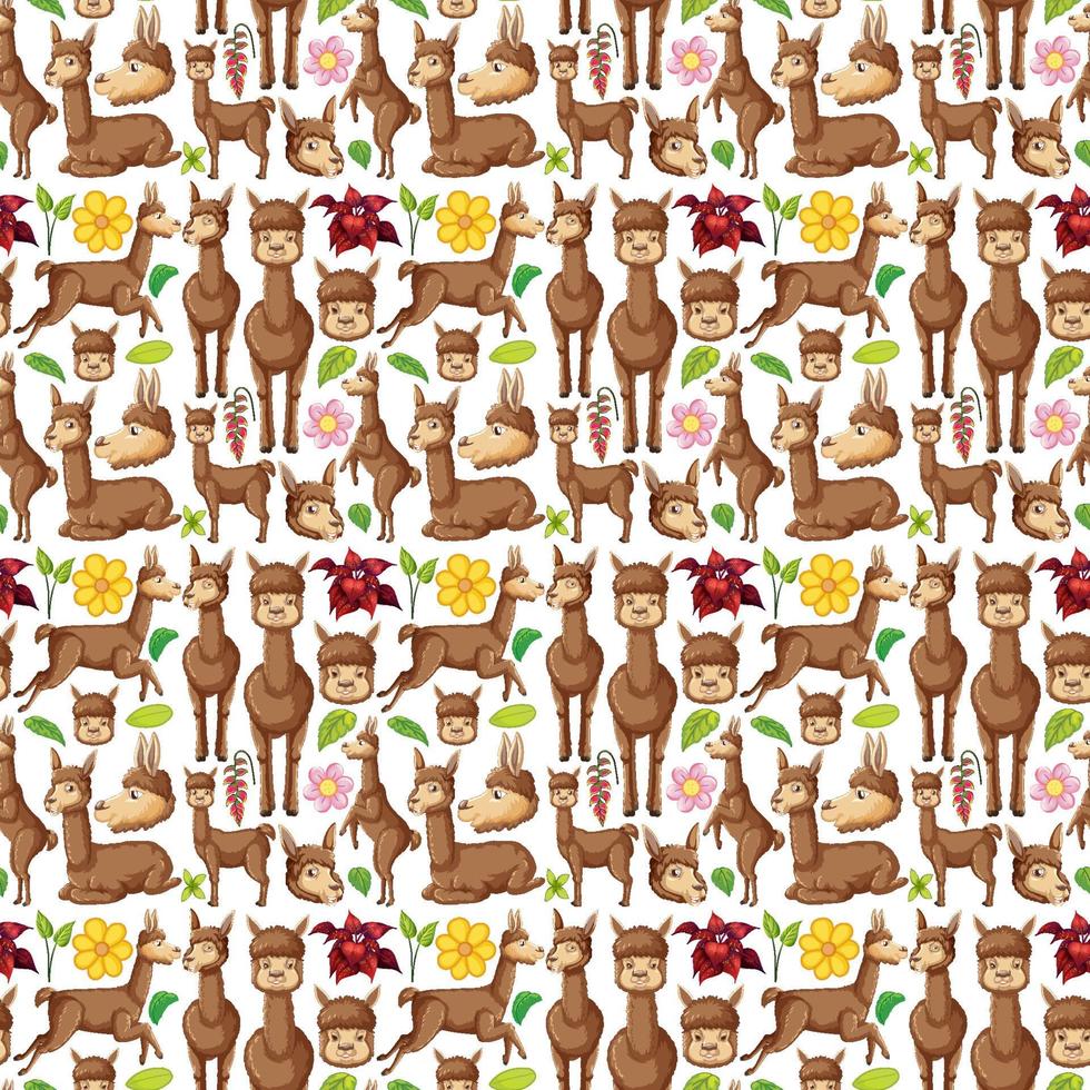 alpaca divertida sobre fondo blanco transparente vector