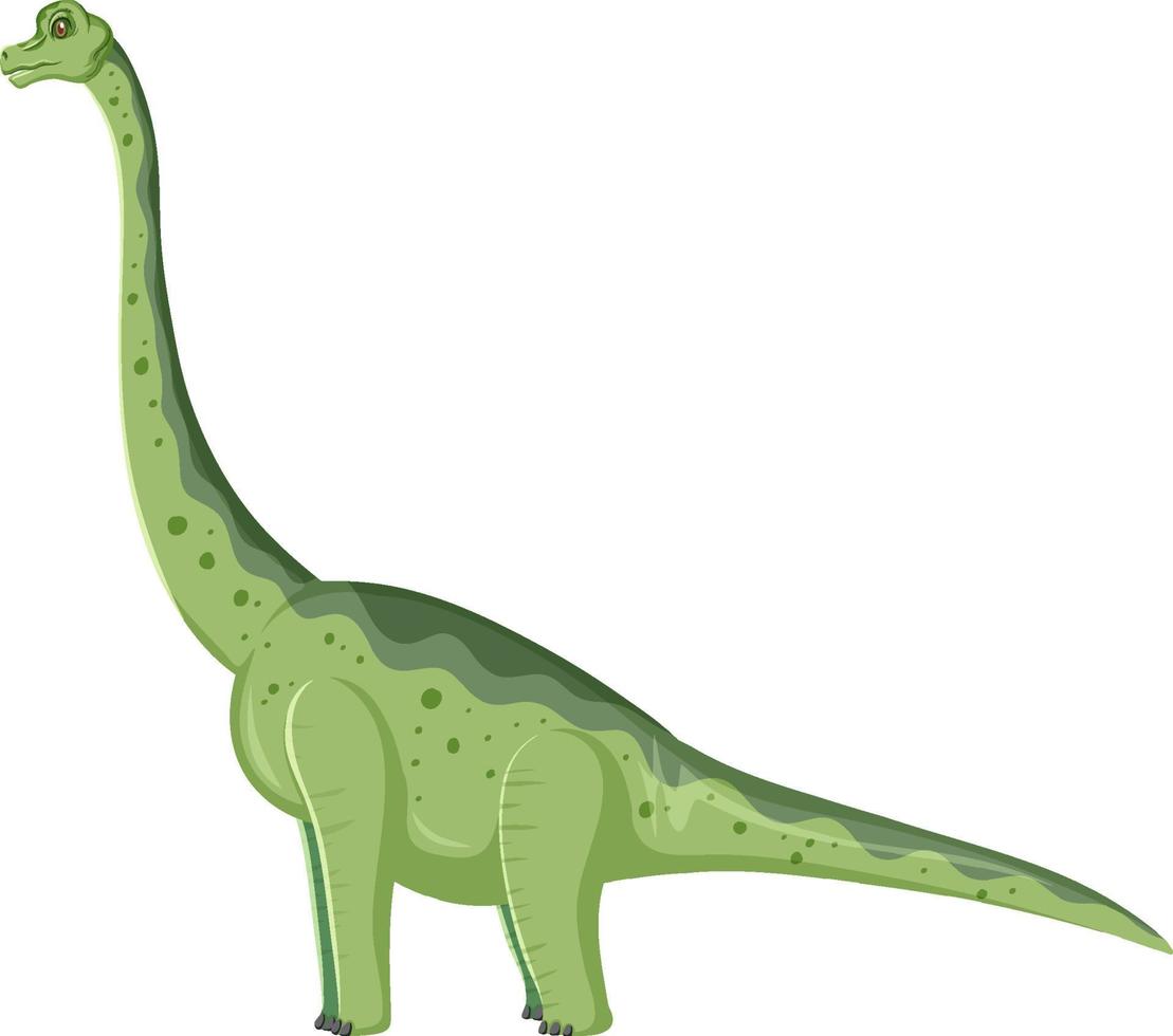 dinosaurio braquiosaurio sobre fondo blanco vector