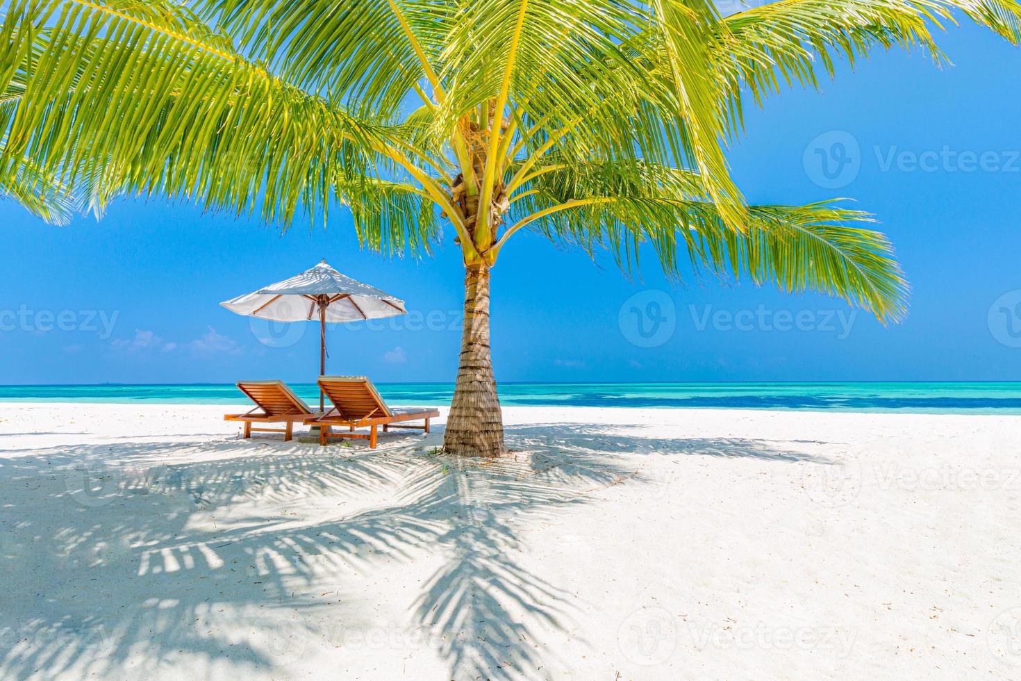 Tranquil tropical beach banner. White sand and coco palms travel tourism wide panorama background concept. Amazing beach landscape. Boost up color process. Luxury travel island resort vacation holiday photo
