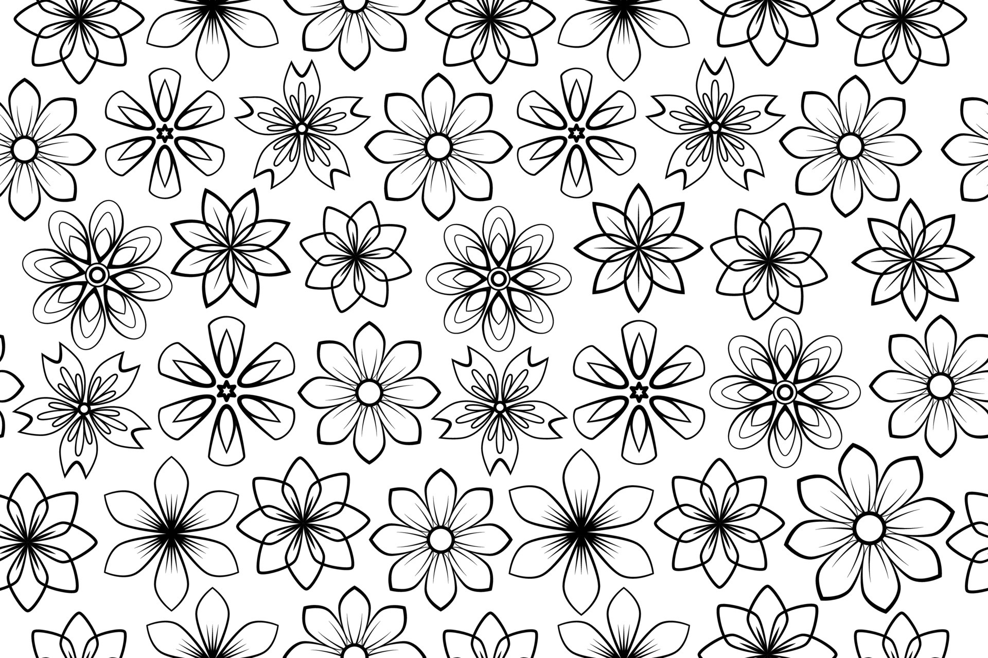 Floral seamless black and white. Flowers and leaves. Repeating monochrome  background. Summer and spring print. Blooming line art flowers and  flowering herbs with black lines on white background. 6213811 Vector Art at