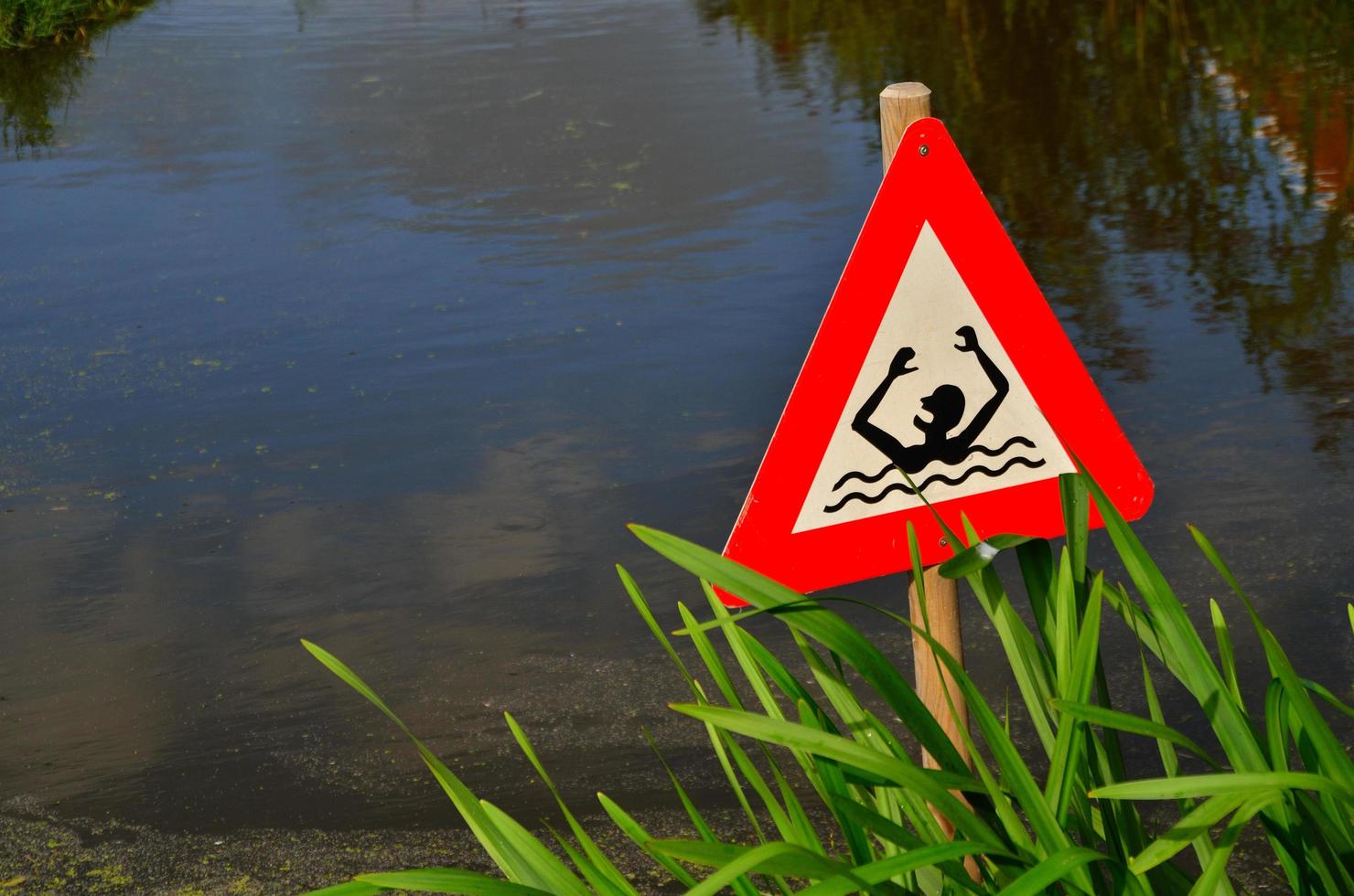 caution swimming in a pond photo