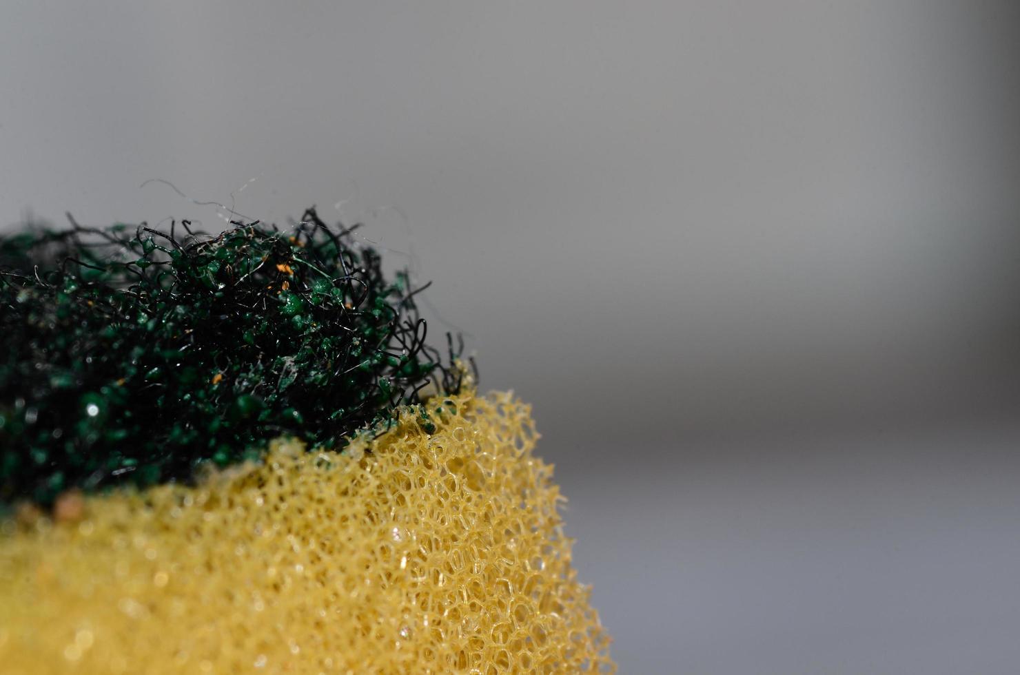 sponge large detail view 6215902 Stock Photo at Vecteezy