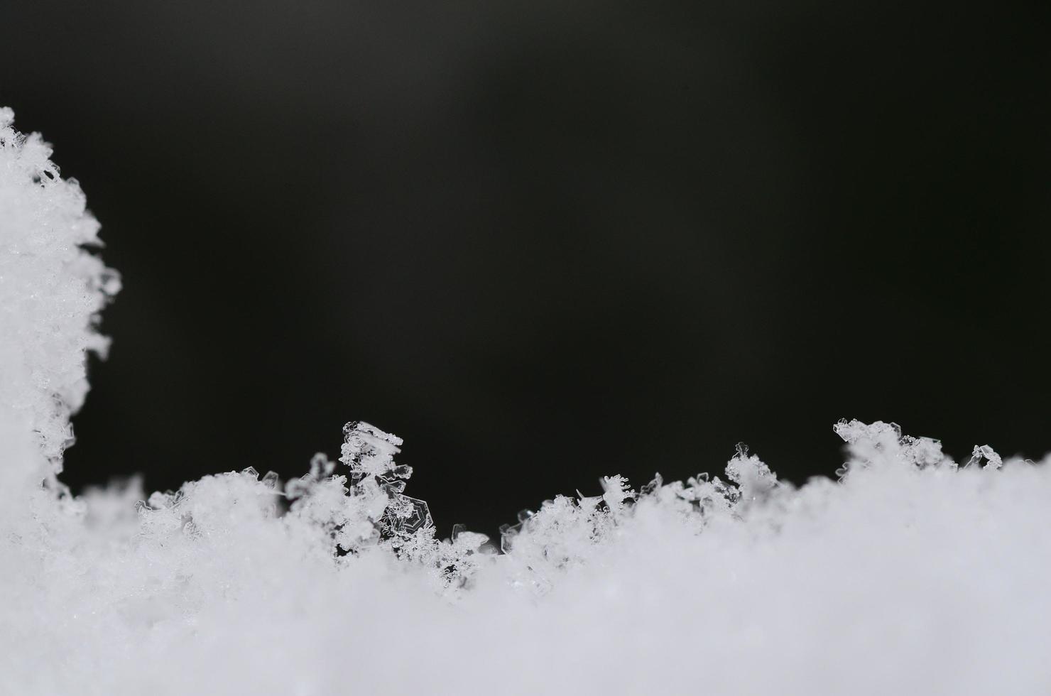fresh snow with crystals photo
