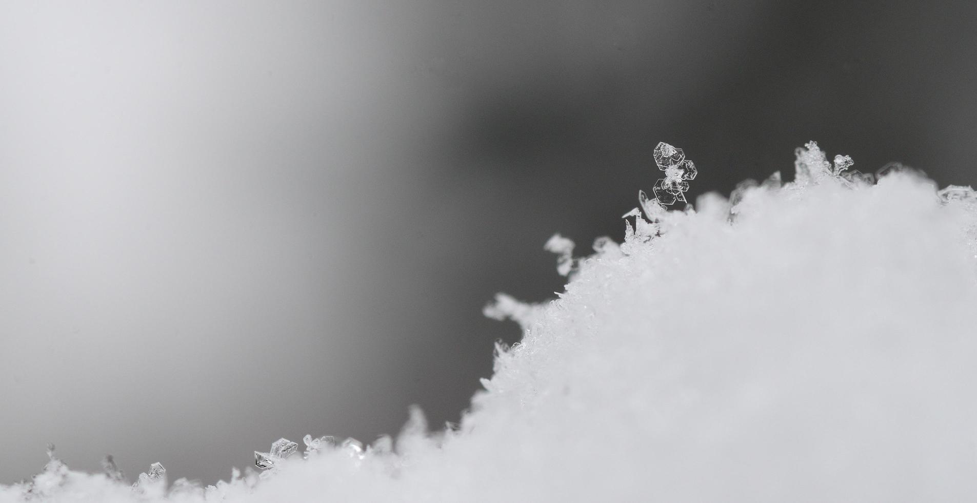 single snow crystal with gray panorama photo