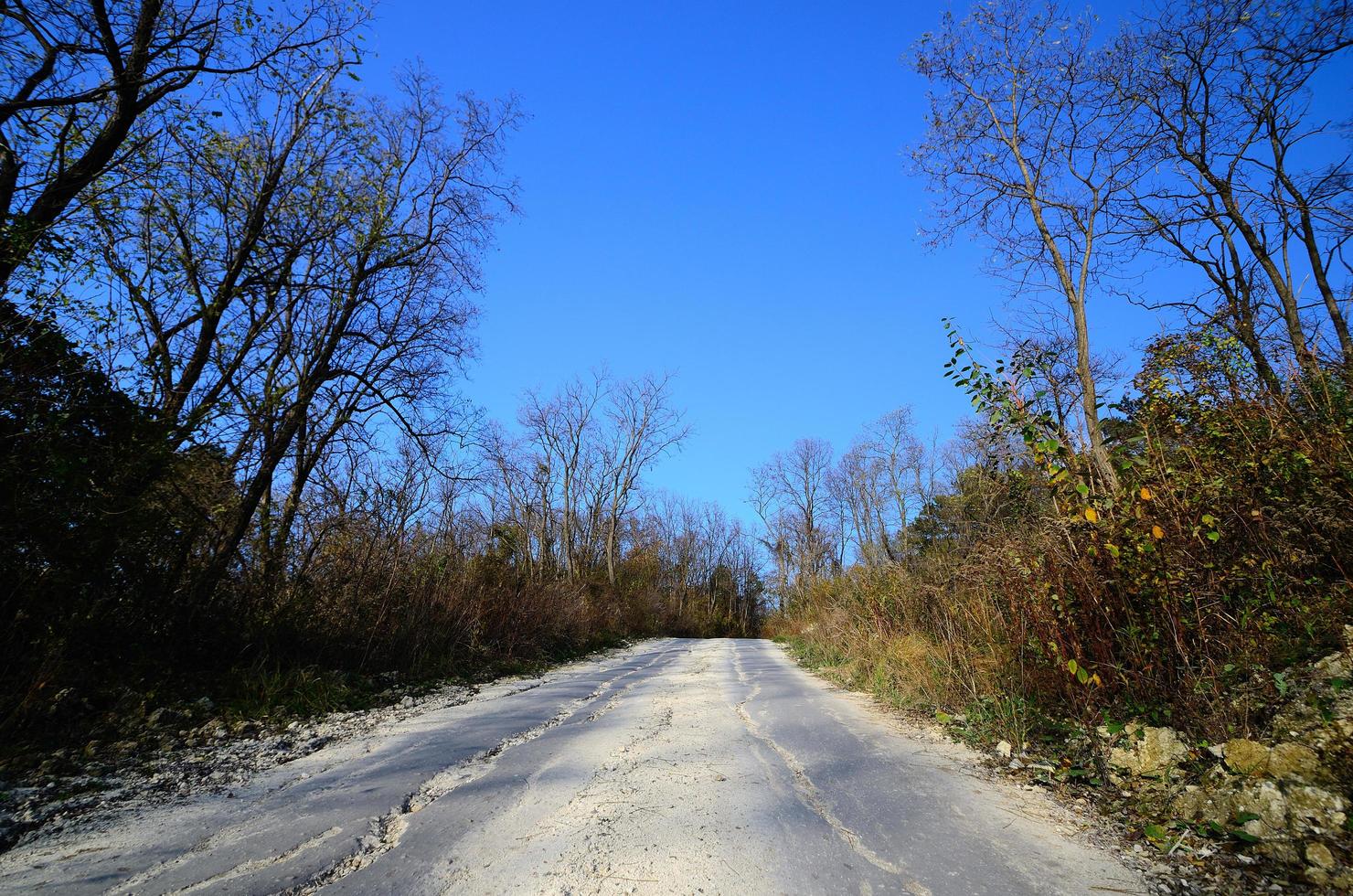 white street with lime photo