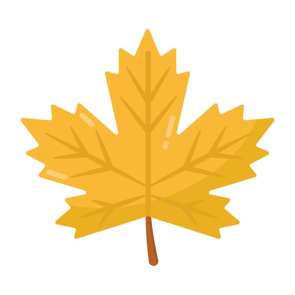 Maple leaf in flat editable design vector