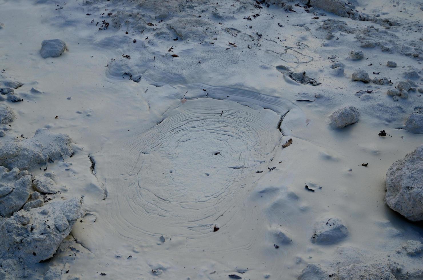 footprints in lime mud photo