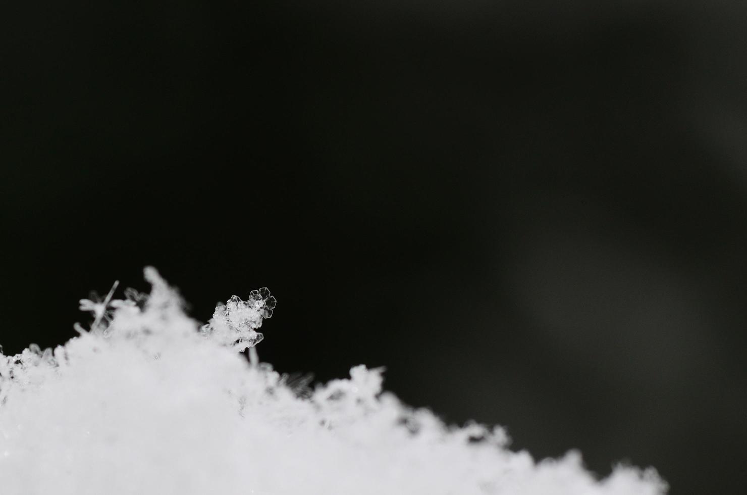 snow macro view photo