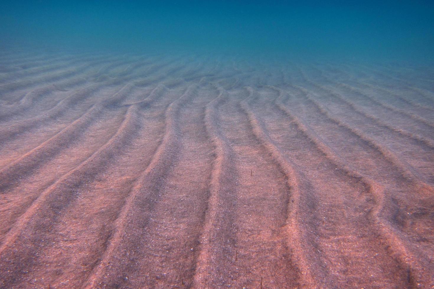 waves sand and sea photo