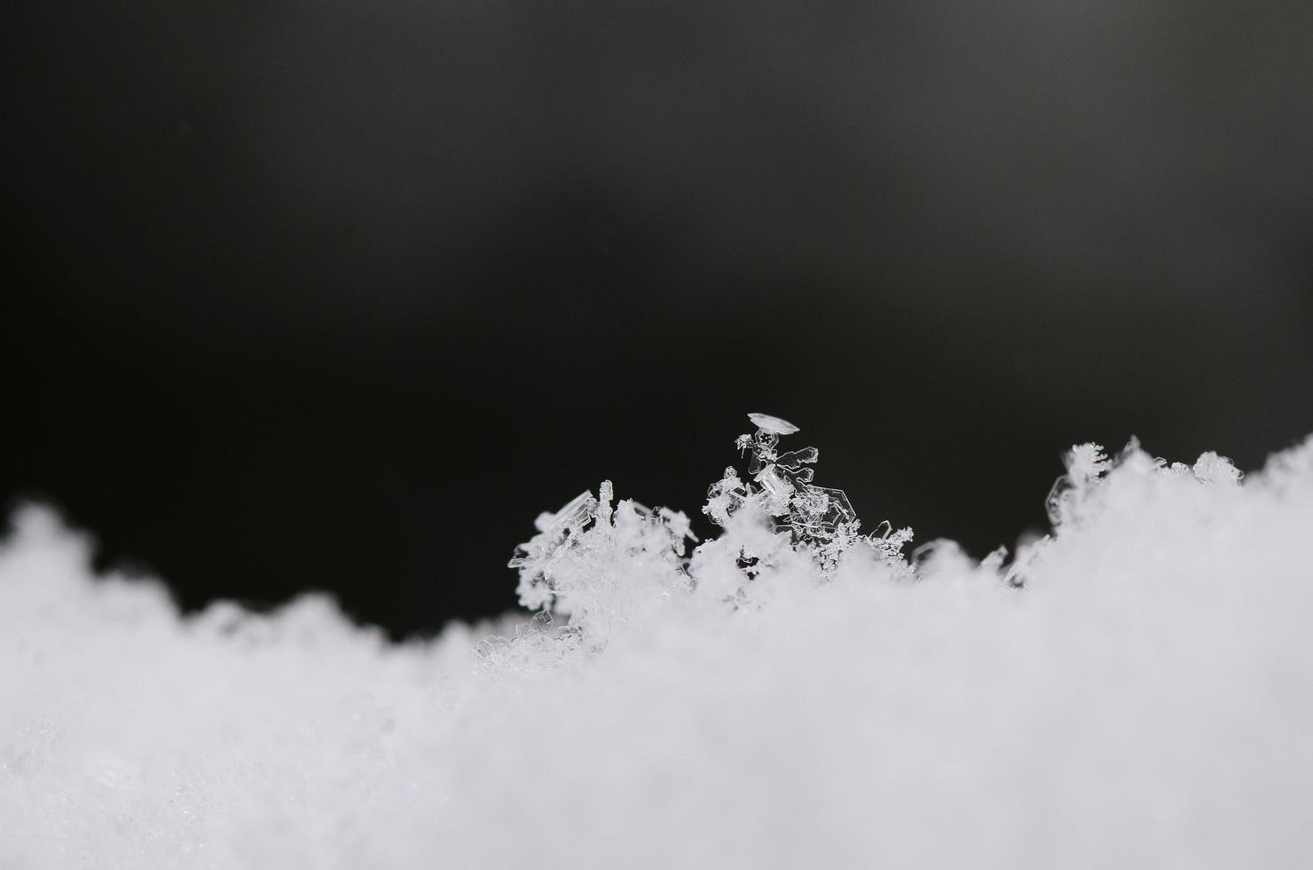 fused snow crystals photo