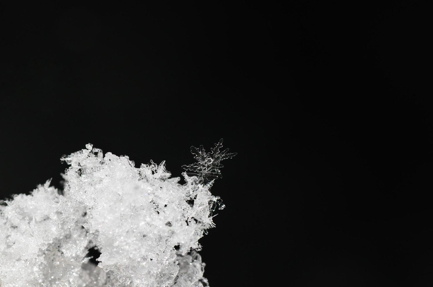 single snow crystal in fresh snow photo