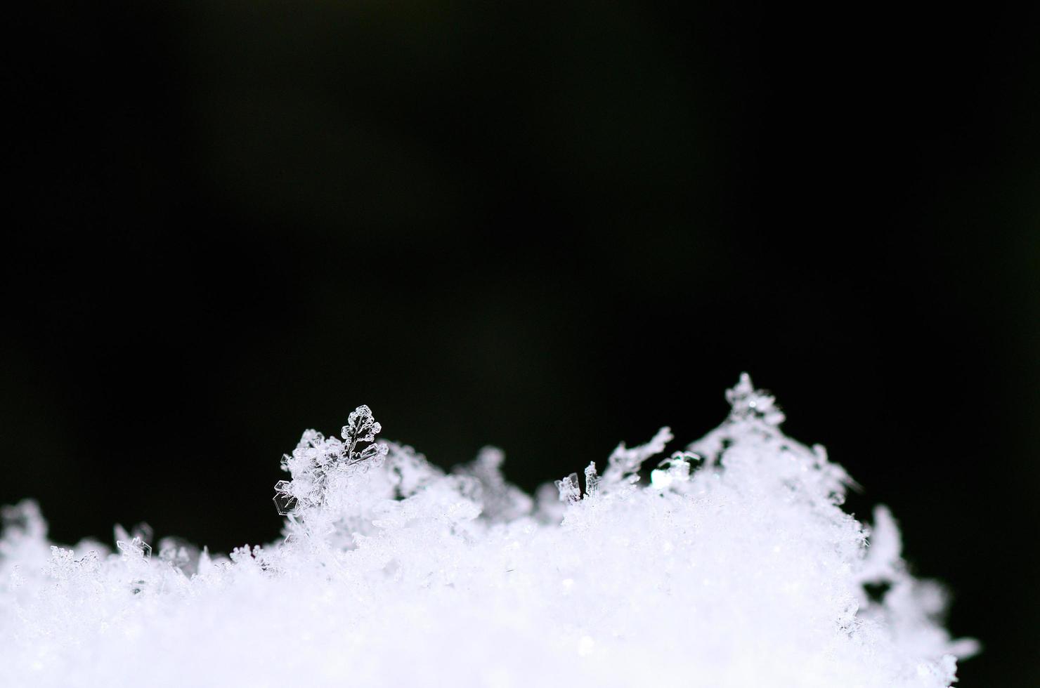 snow crystals and green background photo