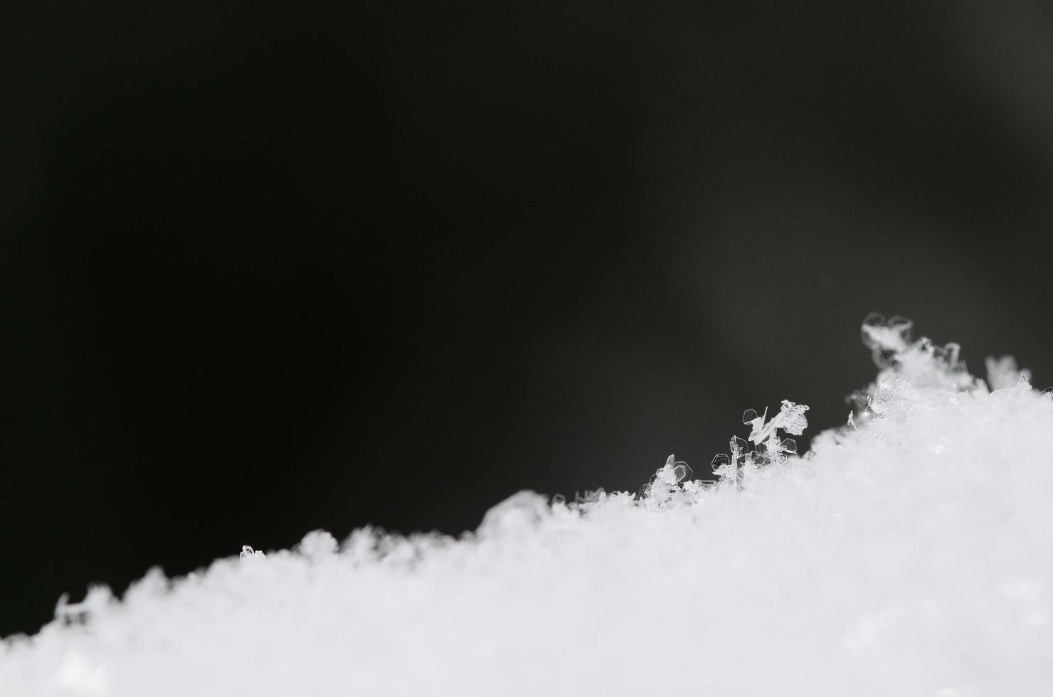 delicate crystals in the snow photo