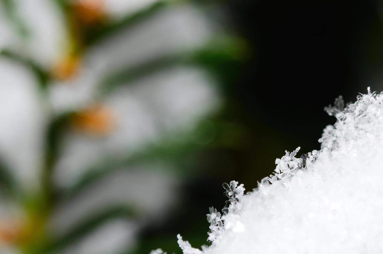 muchos cristales en la nieve foto