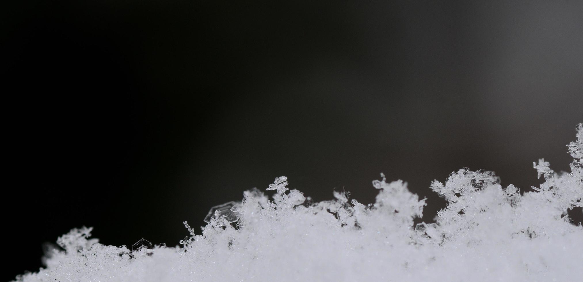 snow crystals with gray black panorama photo