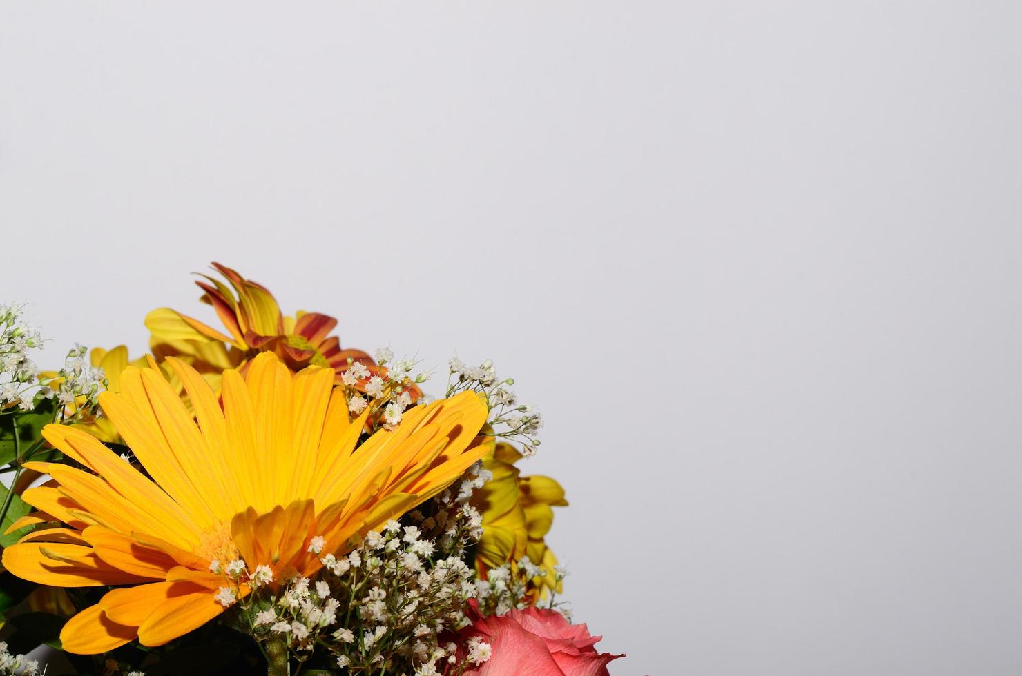 flores en blanco a la izquierda foto