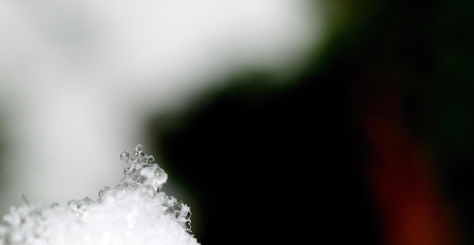 beautiful snow crystal and colorful background panorama photo