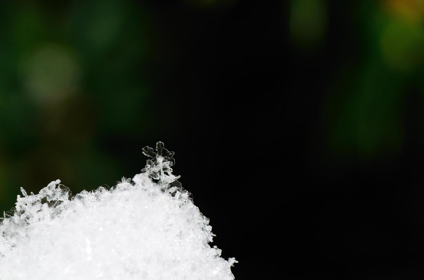 snow crystal on top of snow photo