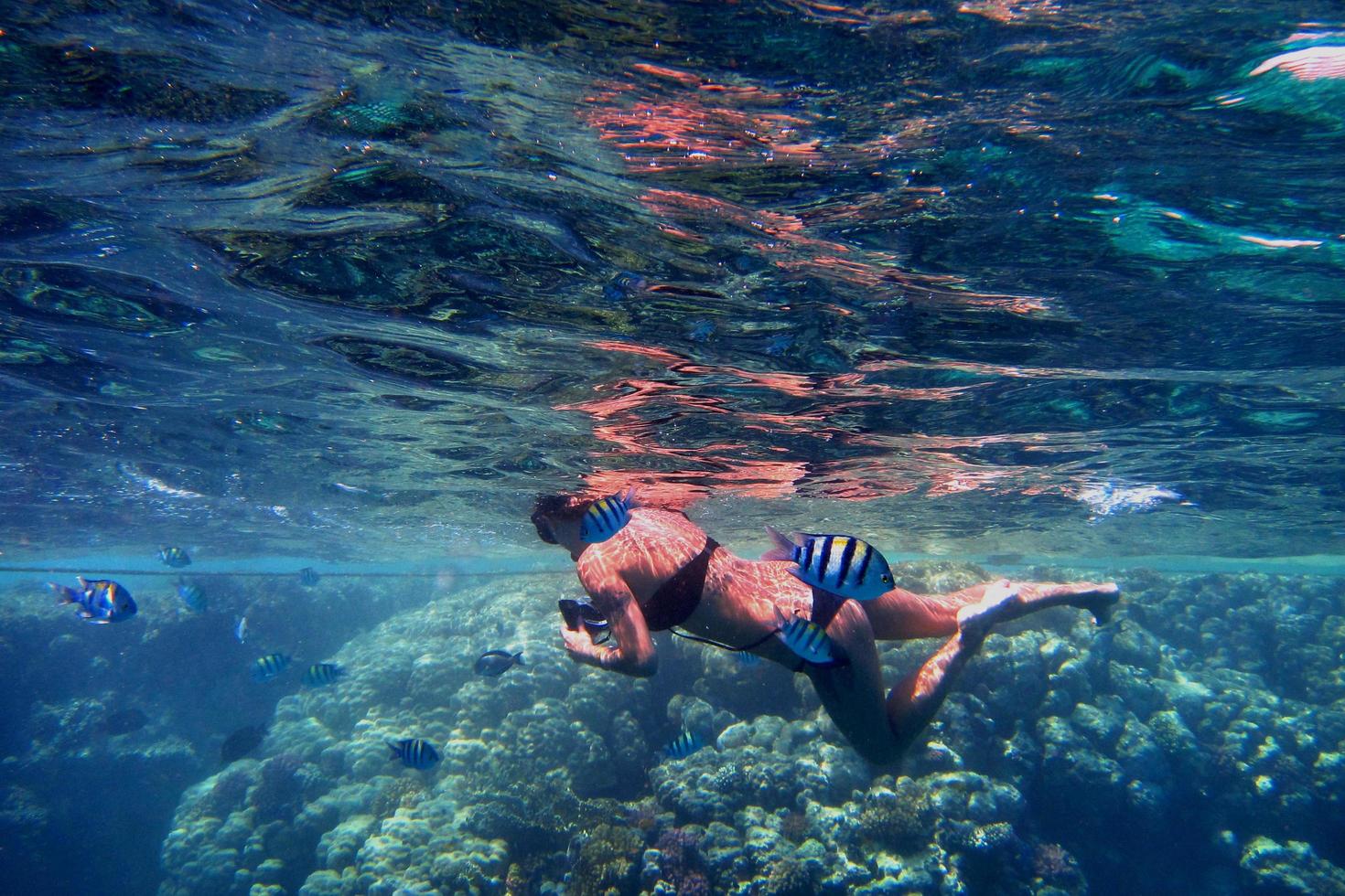 woman in bikini between fish photo