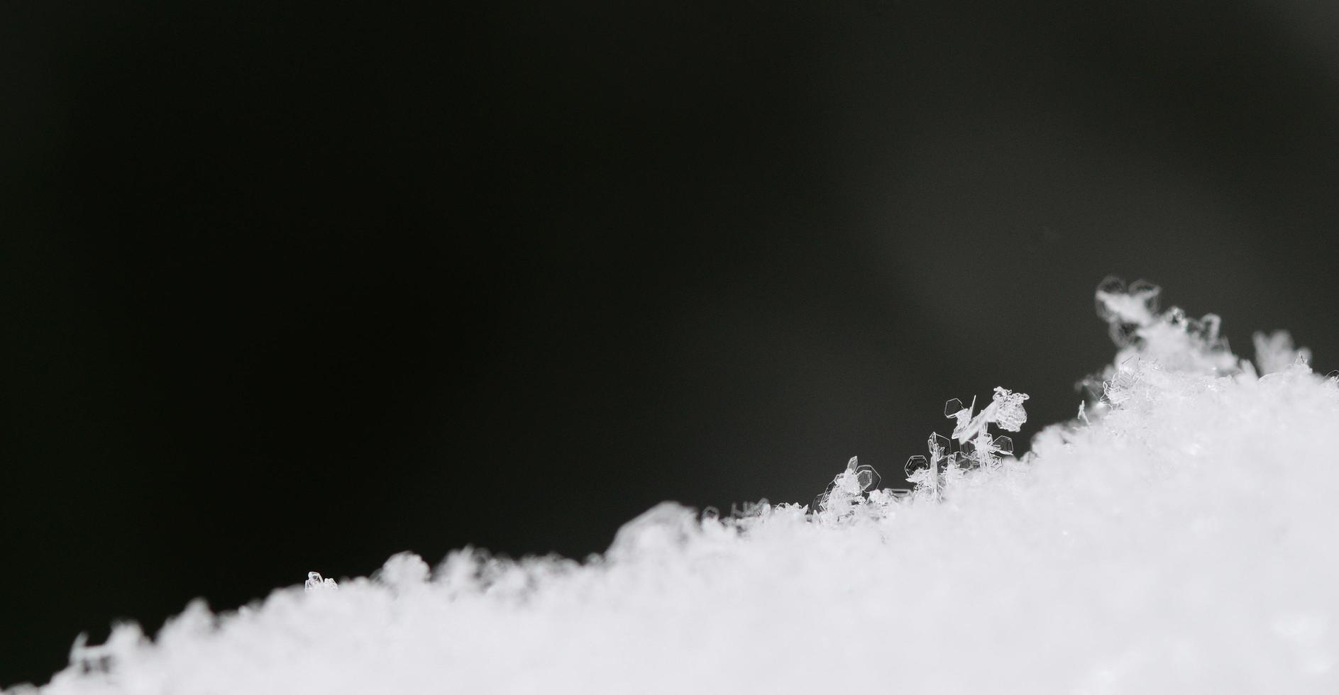 delicate crystals in the snow panorama photo