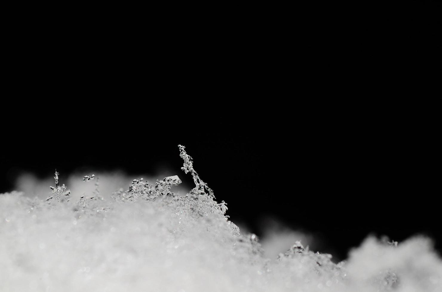 ice crystals in the snow photo