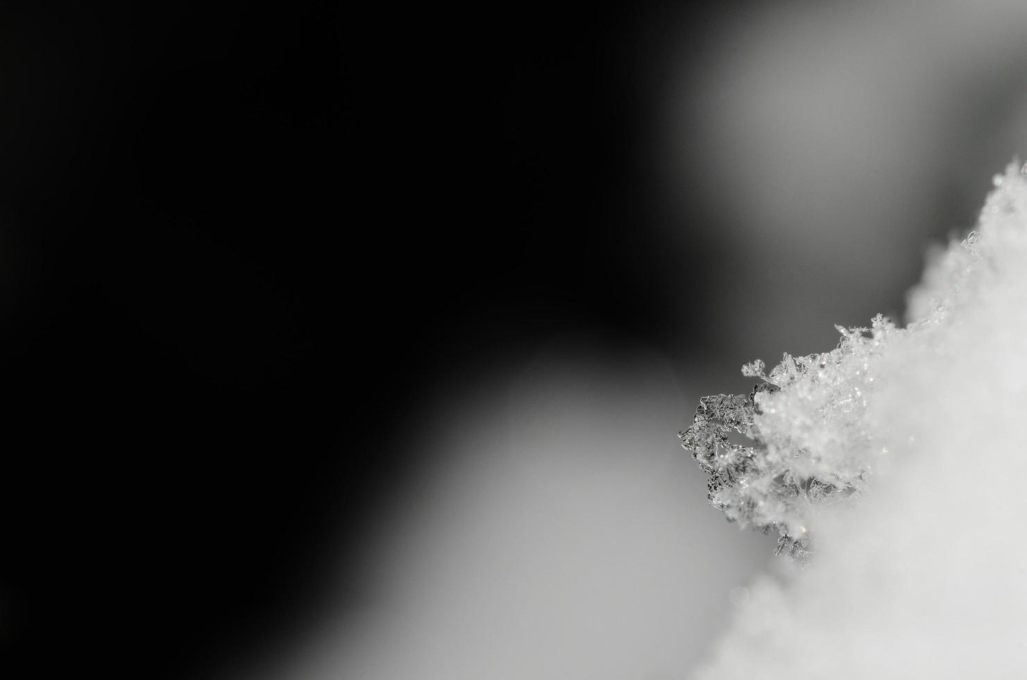 transparent snow crystal photo