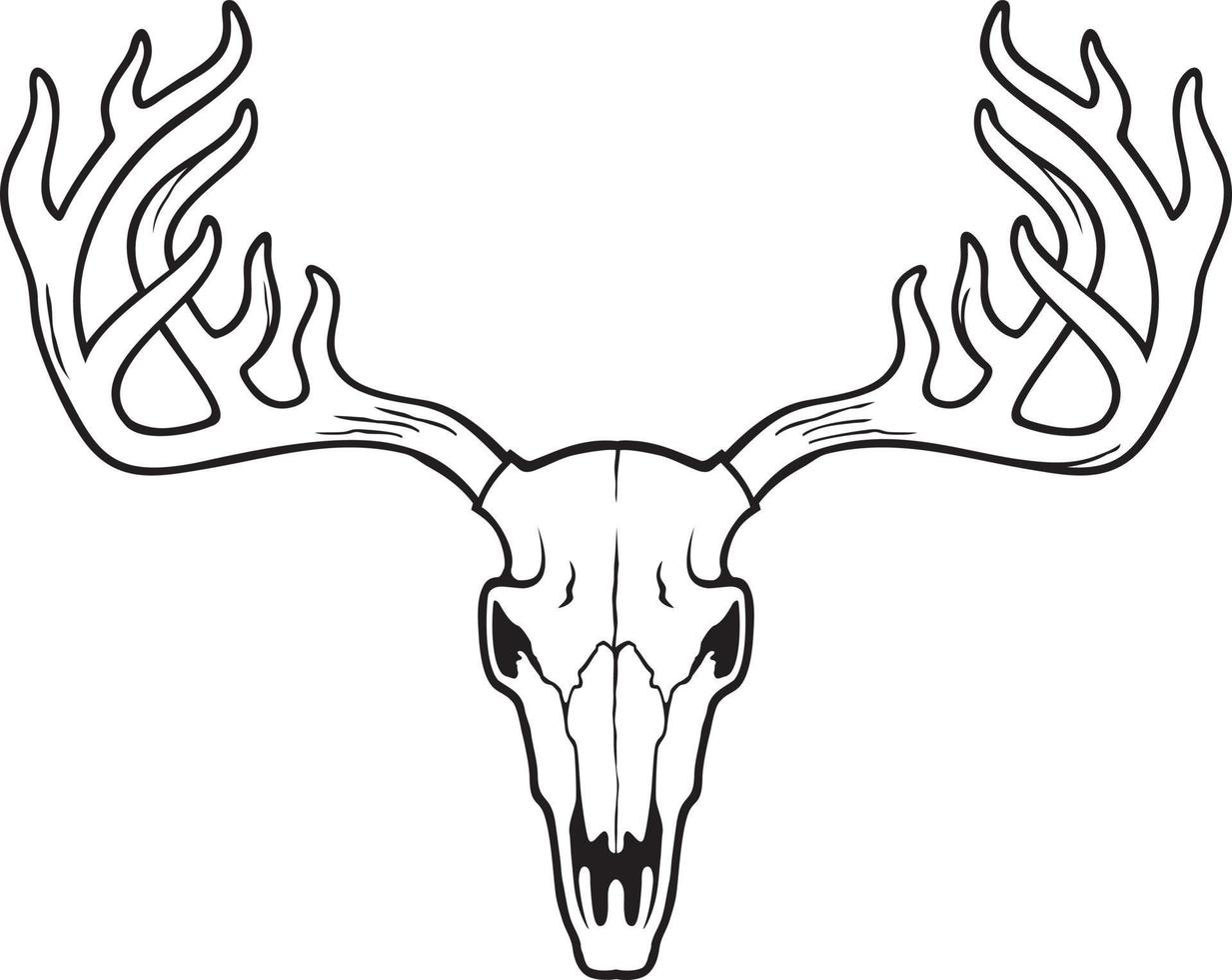 cráneo de venado ilustración vectorial en blanco y negro vector