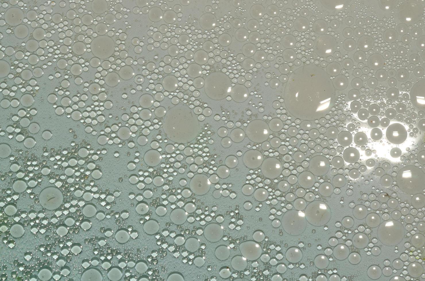 circles of oil in water photo