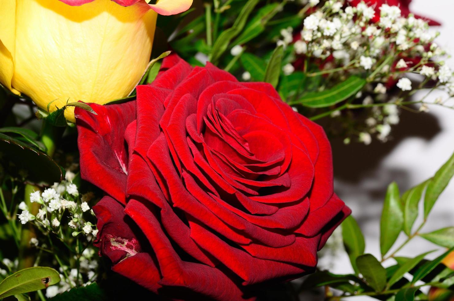 bouquet great view photo