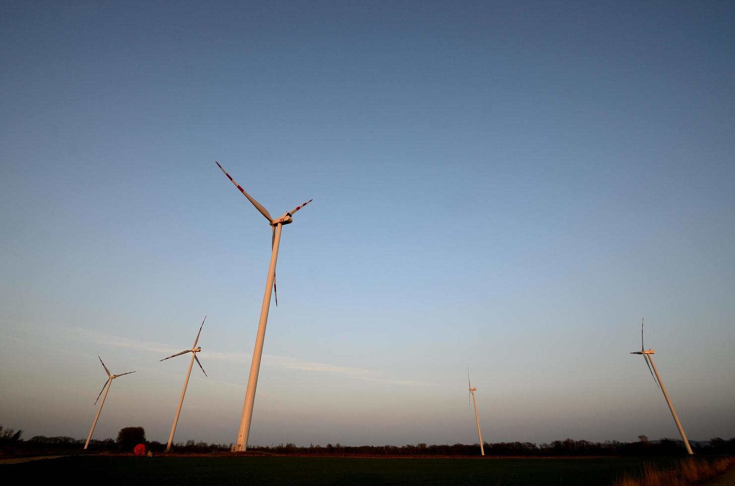 many wind turbines photo