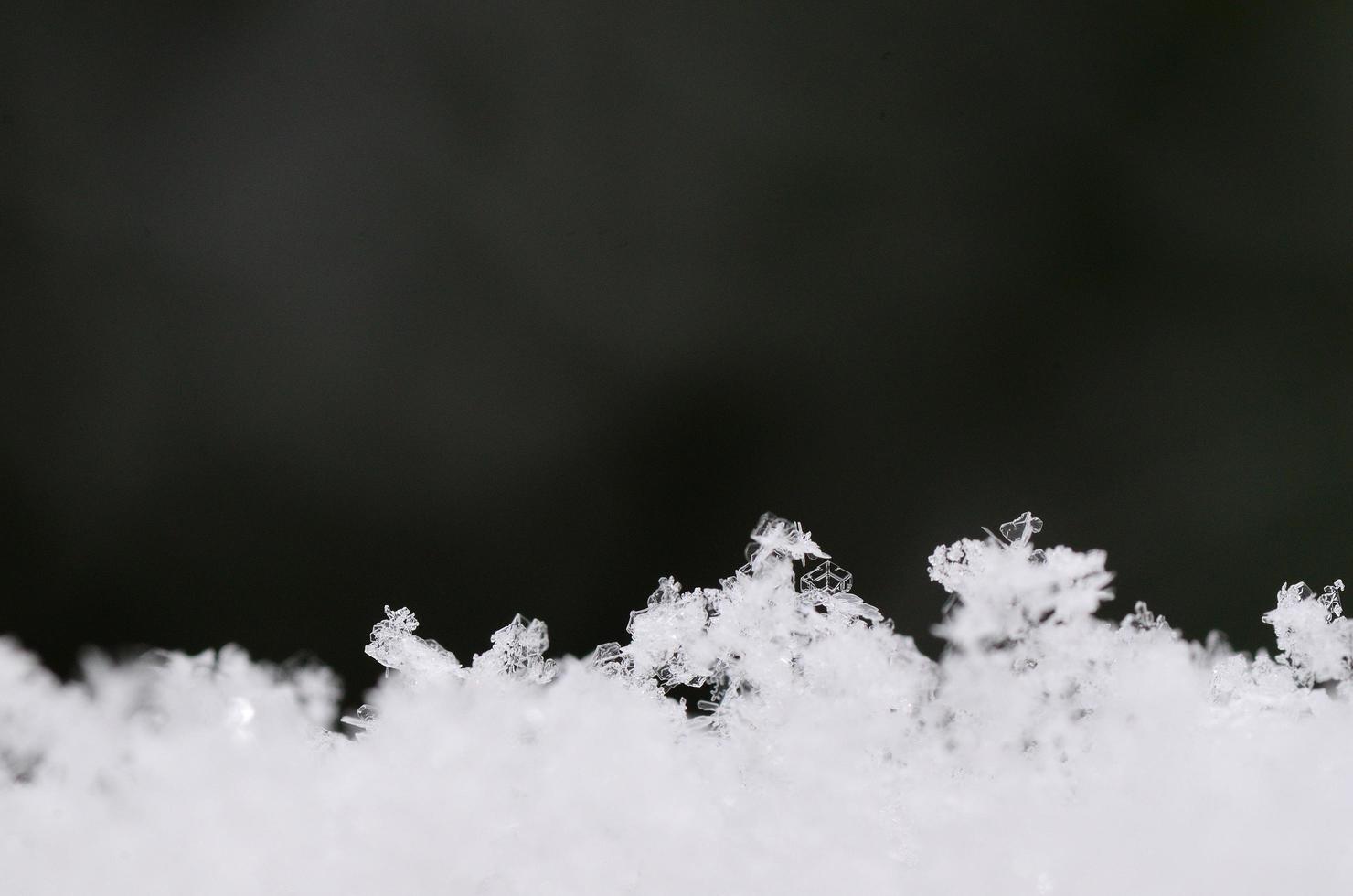 many different snow crystals photo