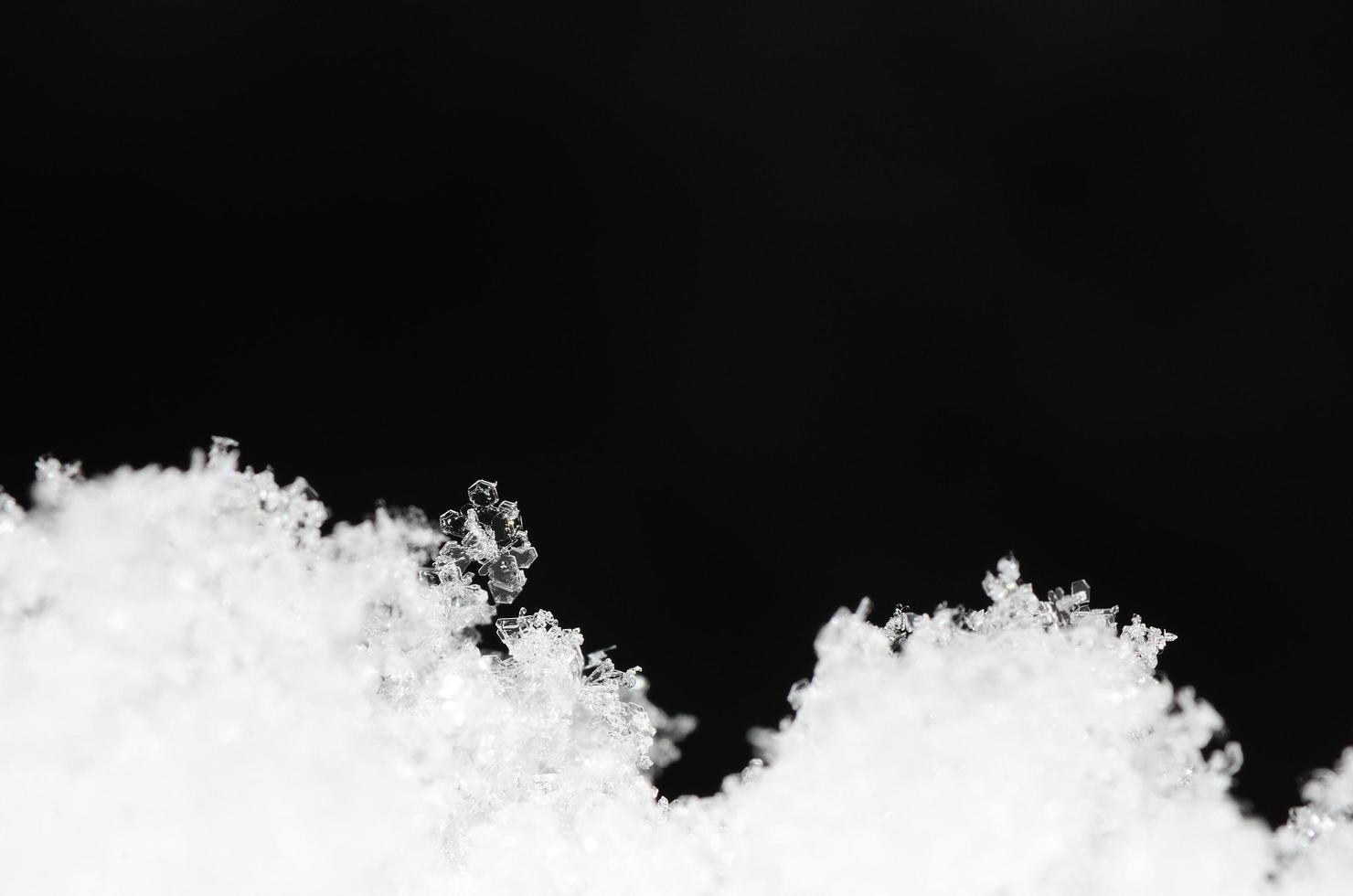 snow crystal with black background photo