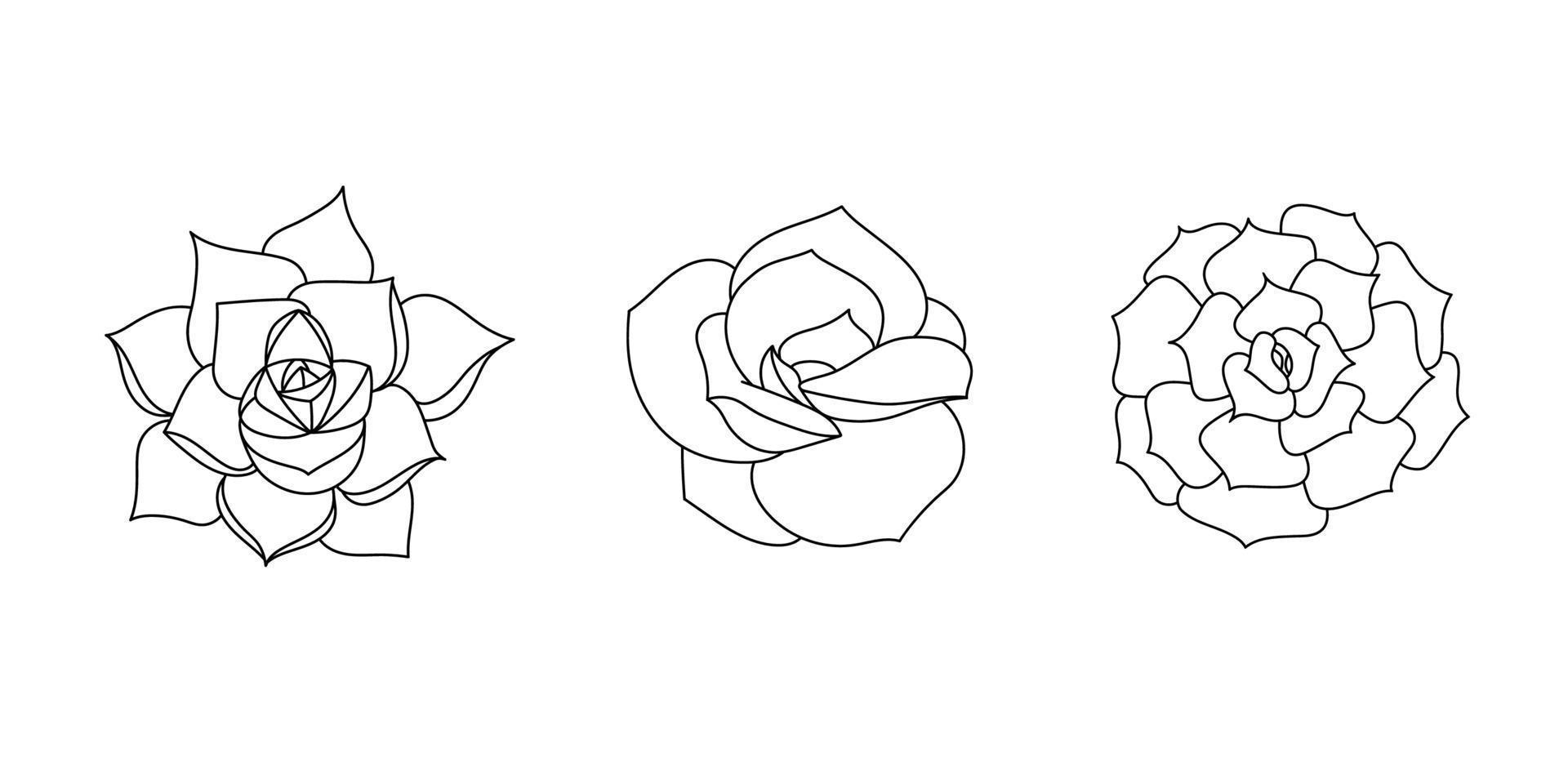 Succulent echeveria set - lovely rose, lilacina, purpusorum. Hand drawn plant in doodle style. Graphic sketch home flower. Vector illustration, isolated black elements for printing and design