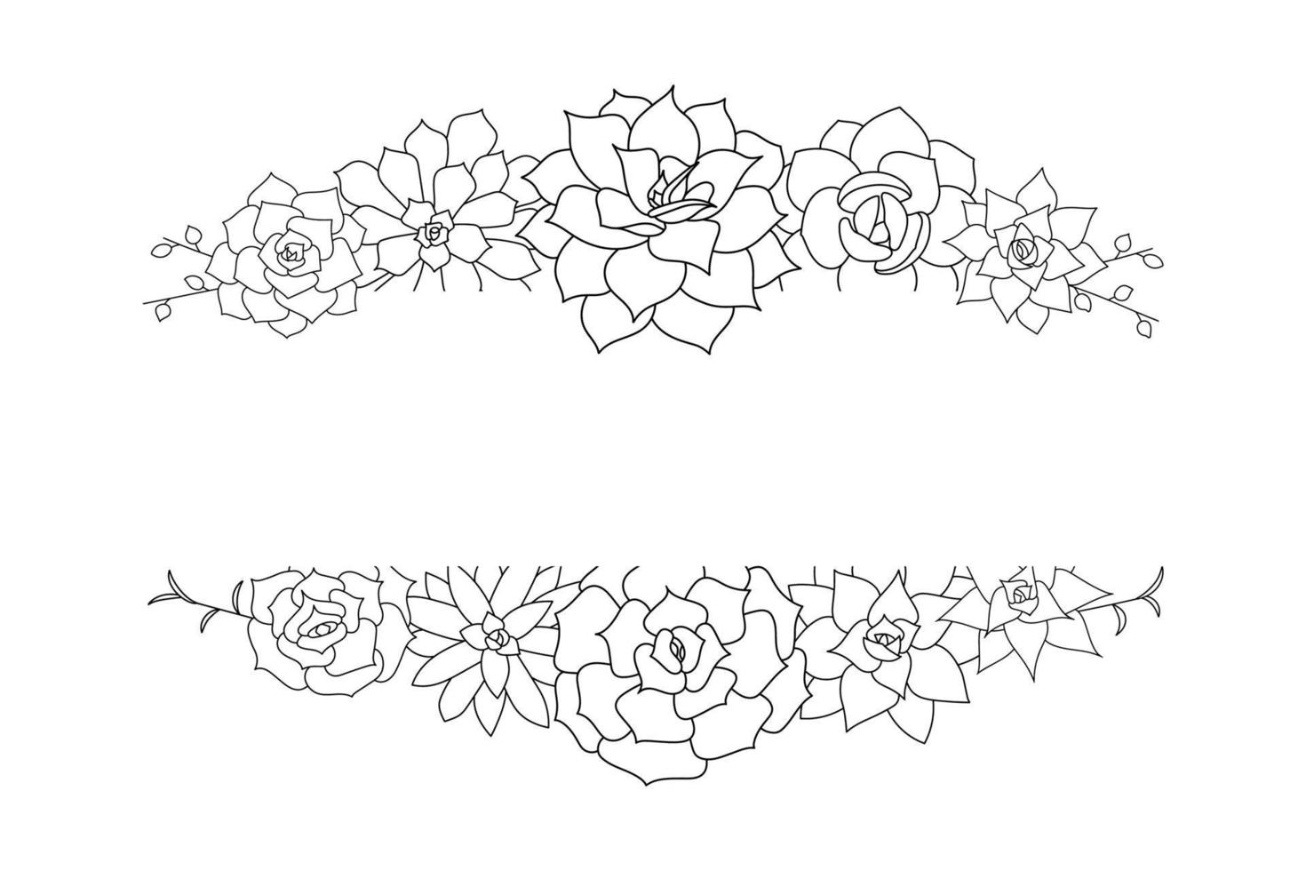 Succulent echeveria vector frame. Hand drawn desert flower illustration in doodle style. Set plants with black outline.